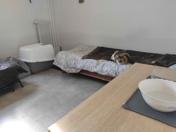 Photo du logement
