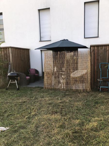 Photo du logement