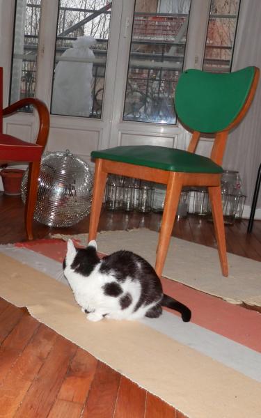 Photo du logement
