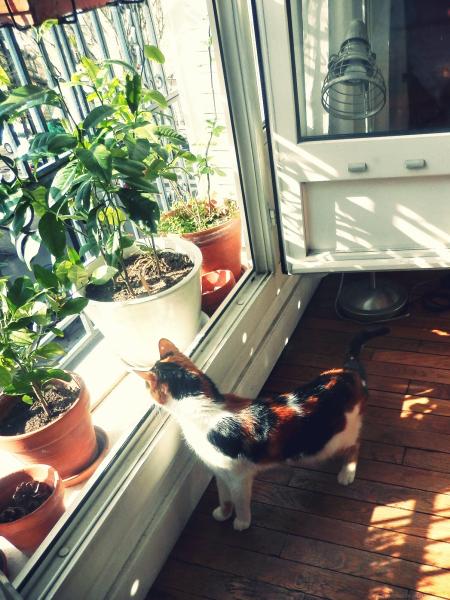 Photo du logement