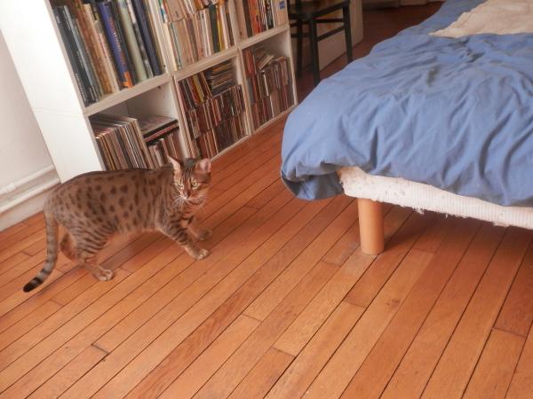 Photo du logement