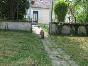 Photo du logement