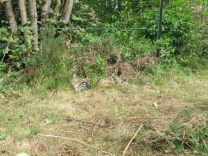 Photo du logement
