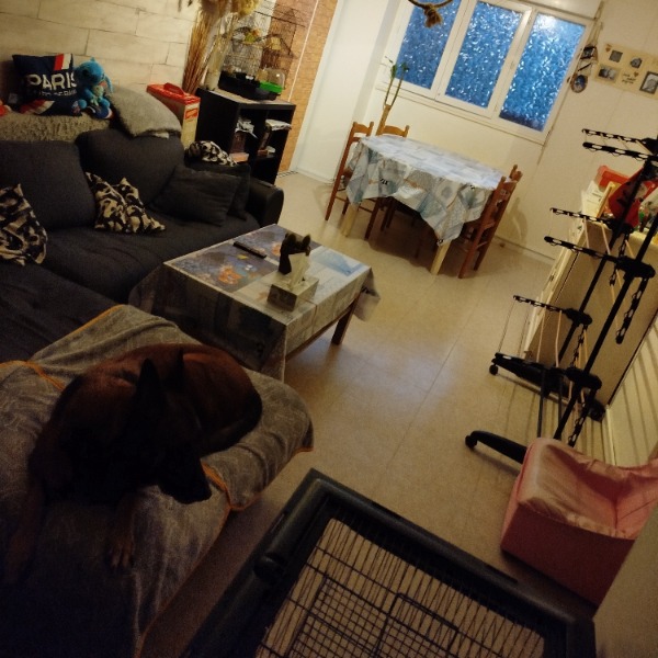 Photo du logement