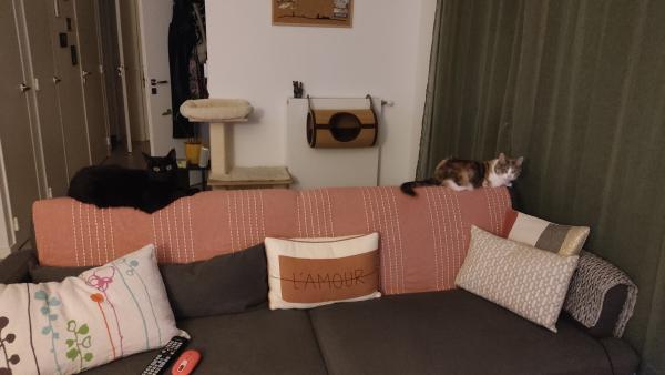 Photo du logement