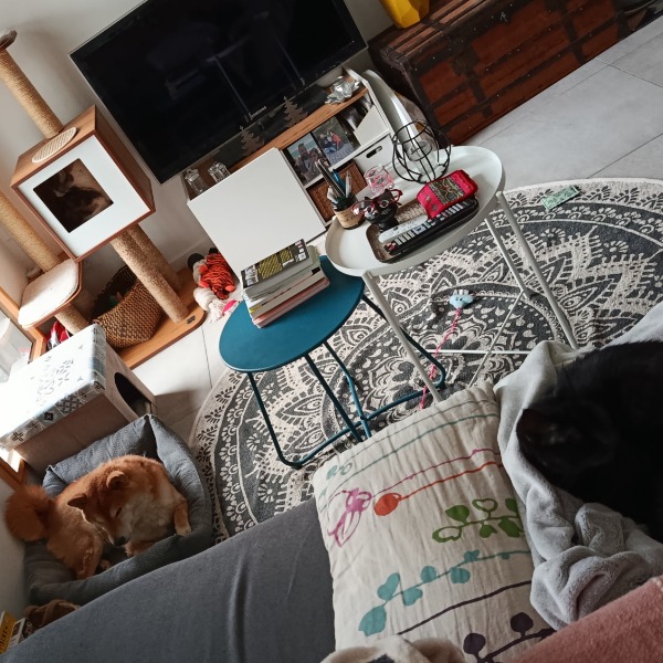 Photo du logement