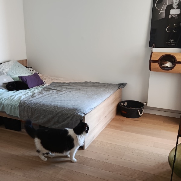 Photo du logement