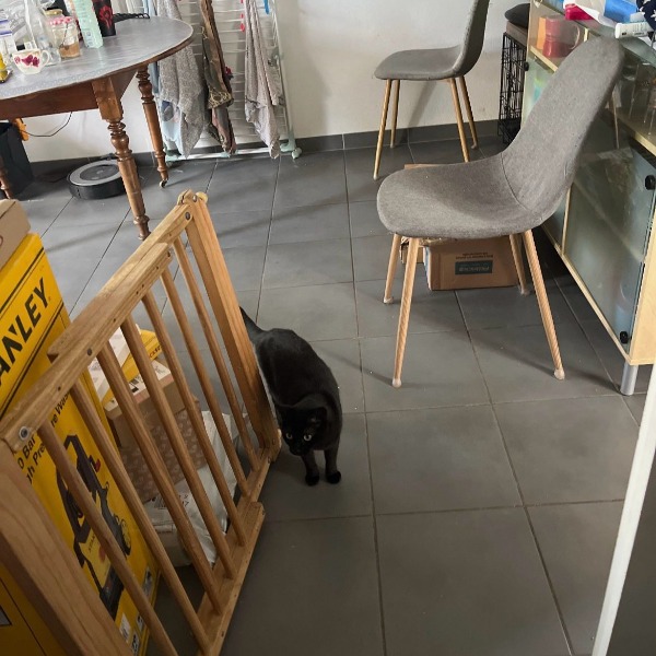 Photo du logement