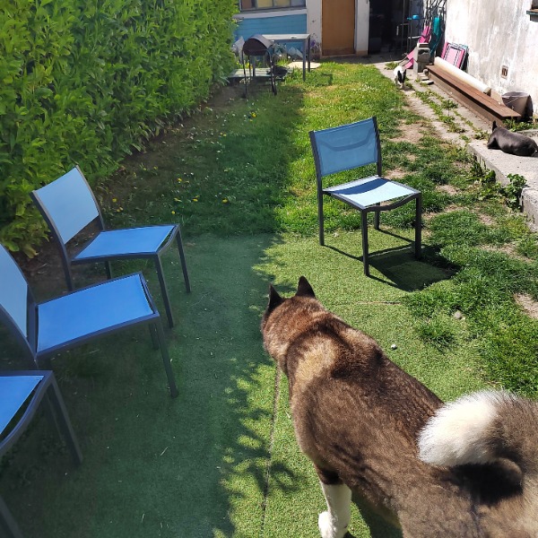 Photo du logement