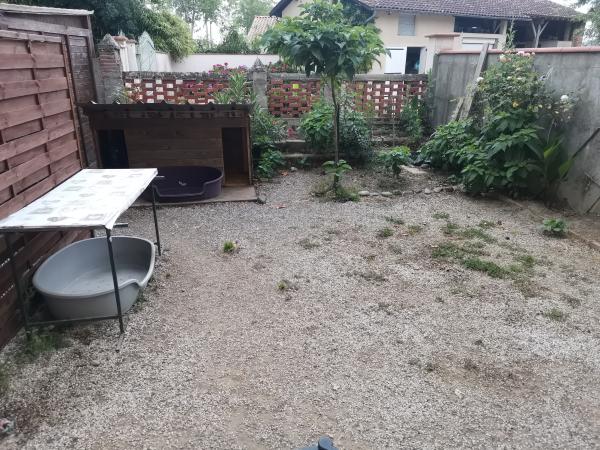 Photo du logement