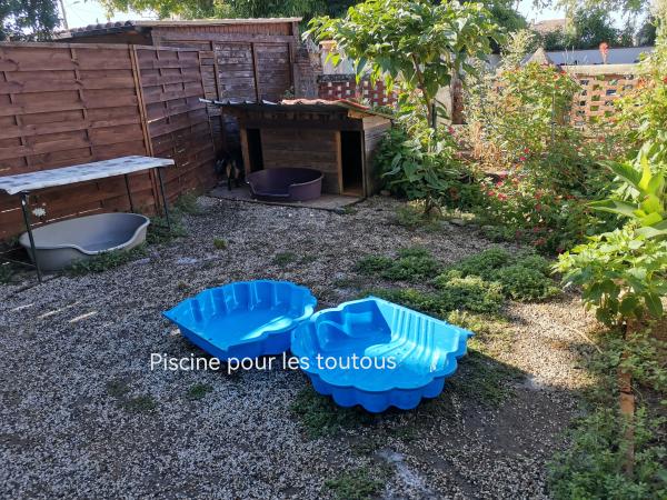 Photo du logement