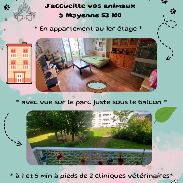 Photo du logement