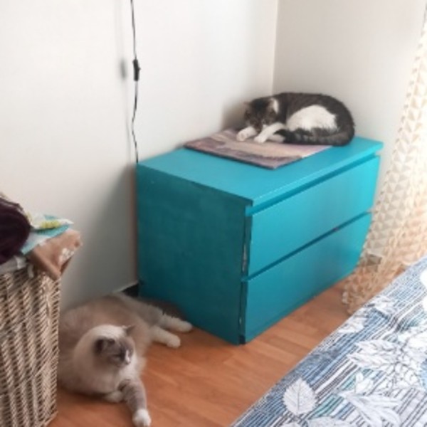 Photo du logement