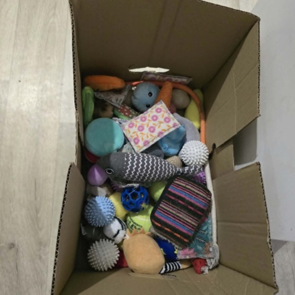 Photo du logement