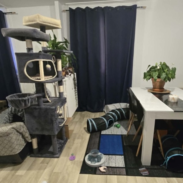 Photo du logement