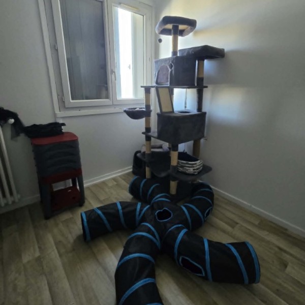 Photo du logement