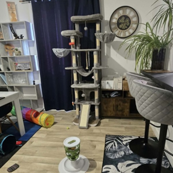 Photo du logement