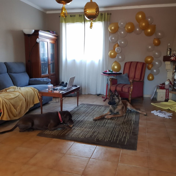Photo du logement