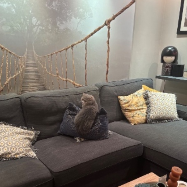 Photo du logement