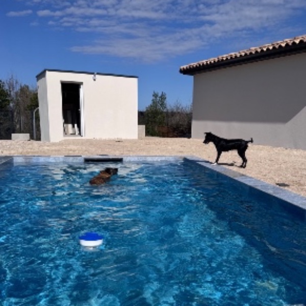Photo du logement