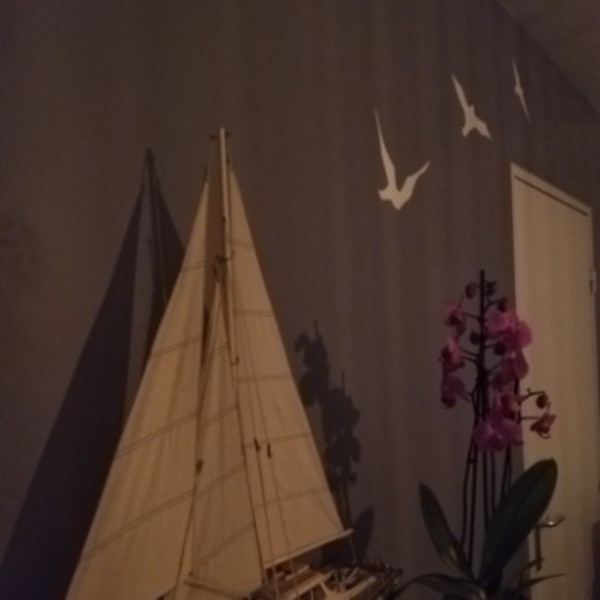 Photo du logement
