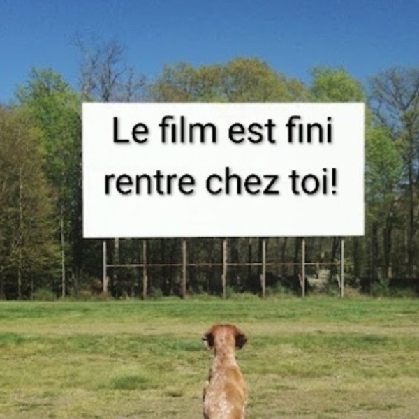Photo du logement