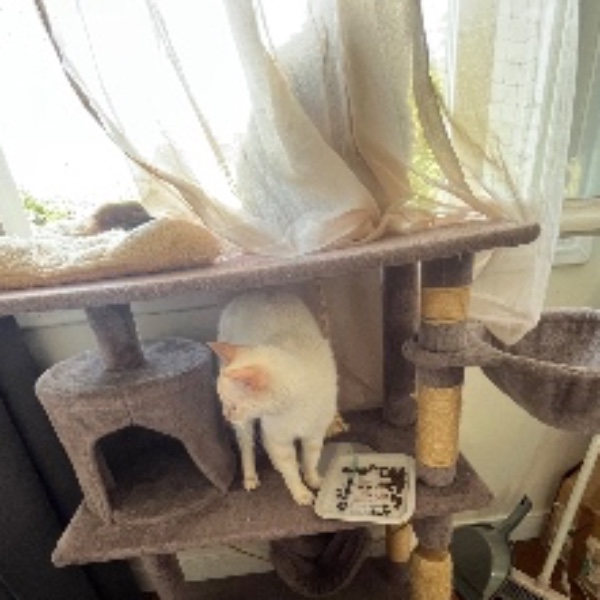 Photo du logement