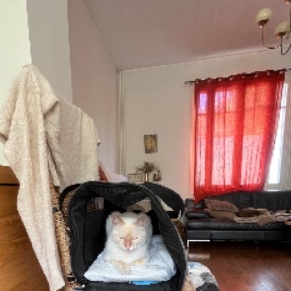 Photo du logement