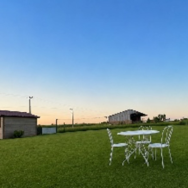 Photo du logement