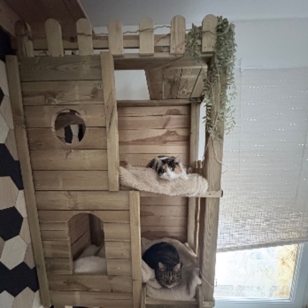 Photo du logement