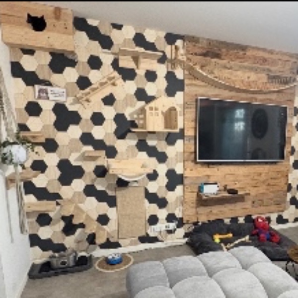 Photo du logement