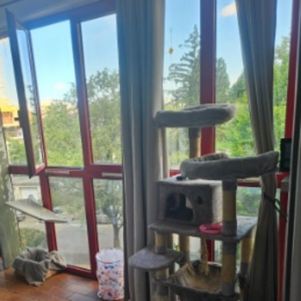 Photo du logement