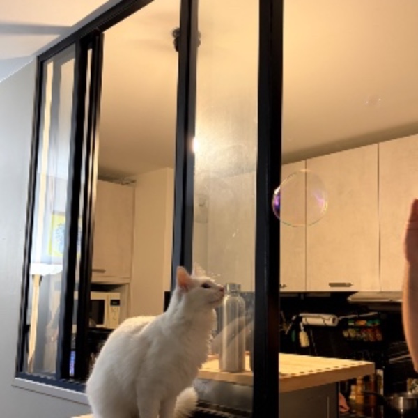 Photo du logement