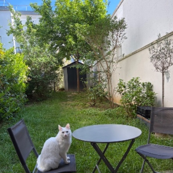 Photo du logement
