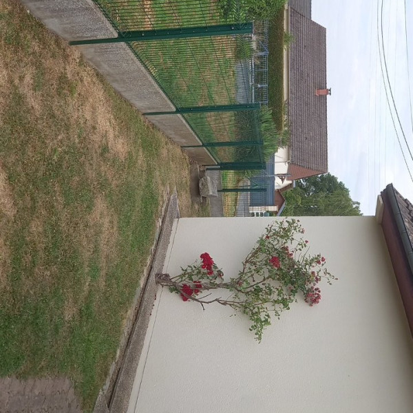 Photo du logement