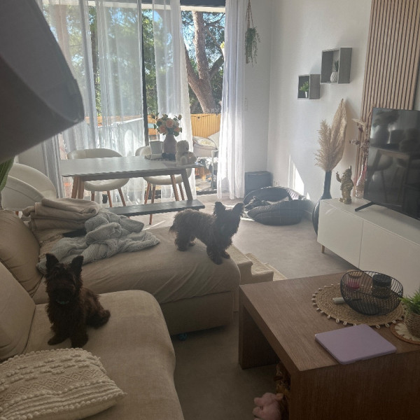 Photo du logement