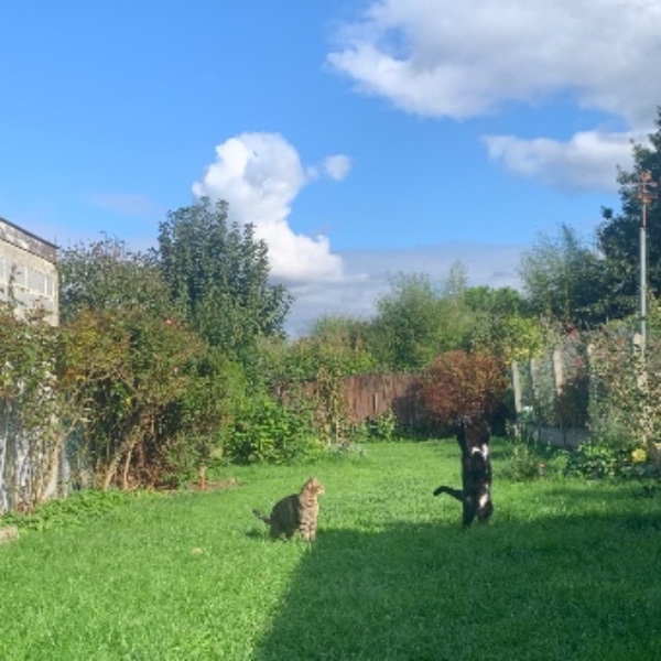 Photo du logement