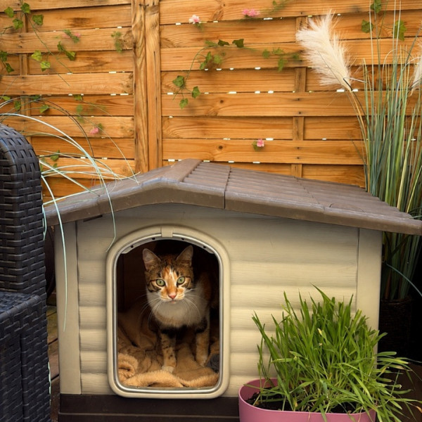 Photo du logement