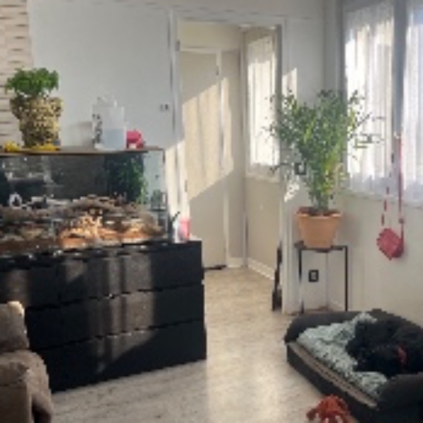 Photo du logement