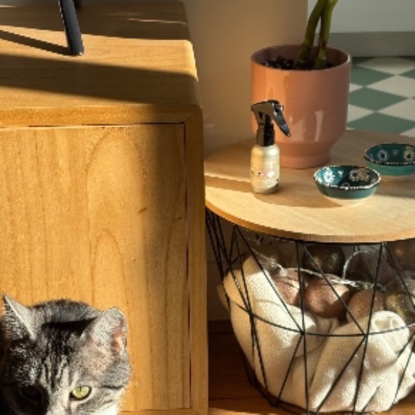 Photo du logement