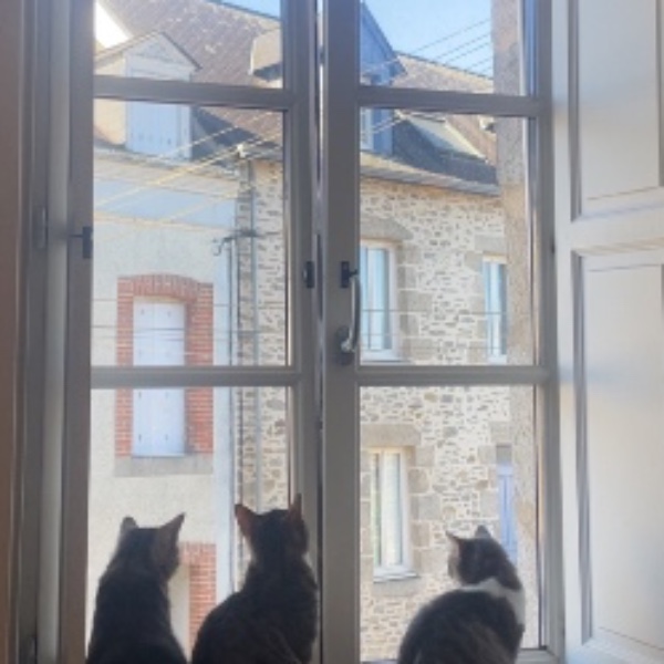Photo du logement