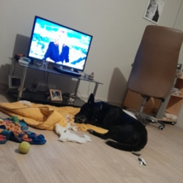 Photo du logement