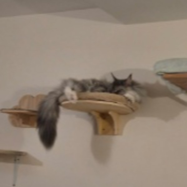 Photo du logement