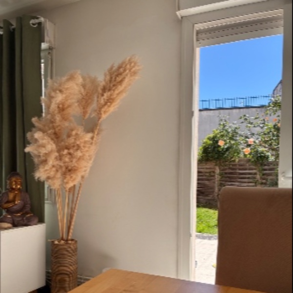 Photo du logement