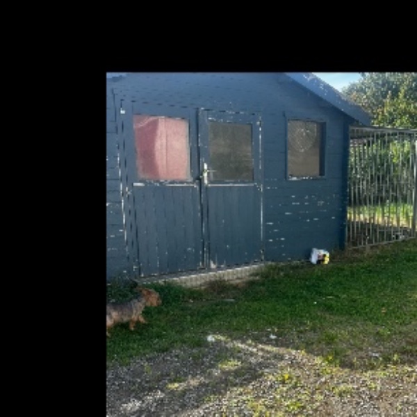 Photo du logement