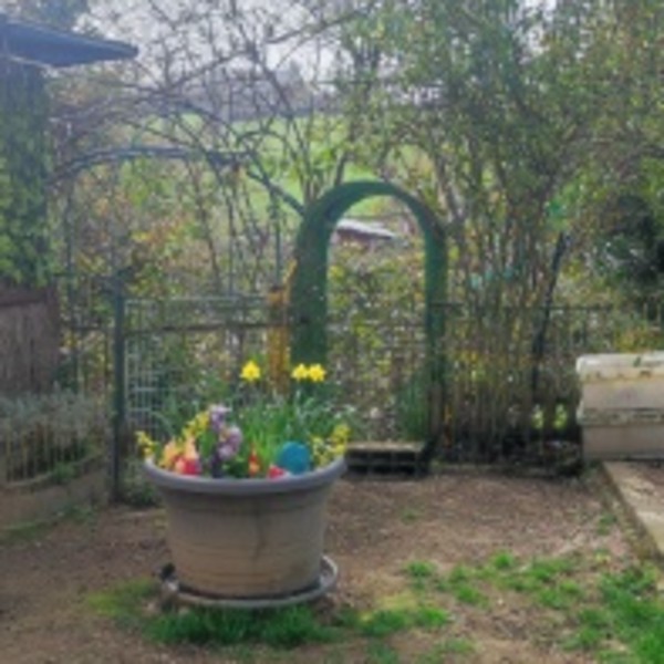 Photo du logement