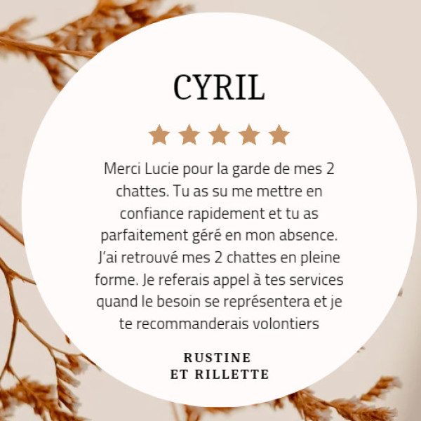 Photo du logement