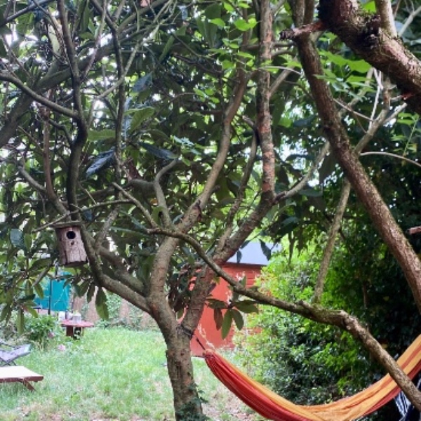 Photo du logement