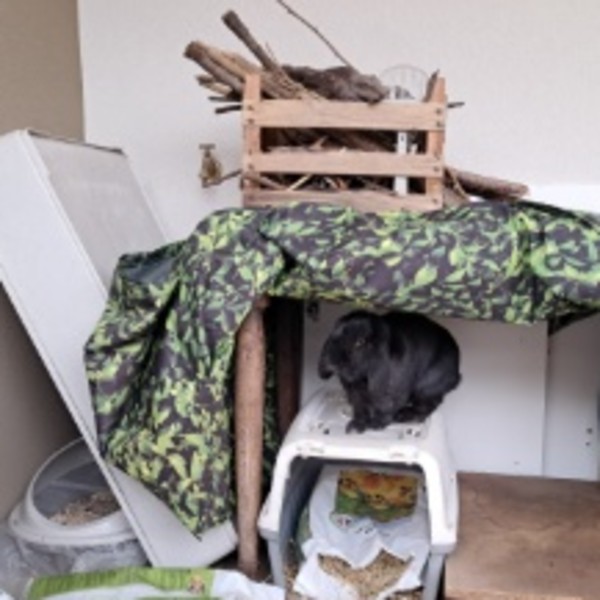 Photo du logement