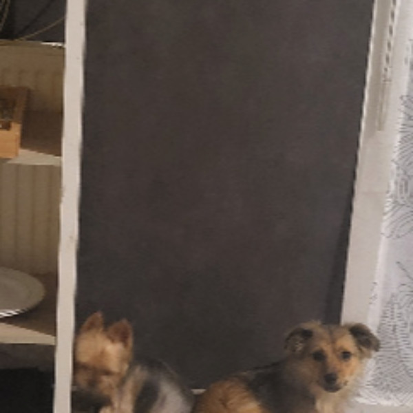 Photo du logement